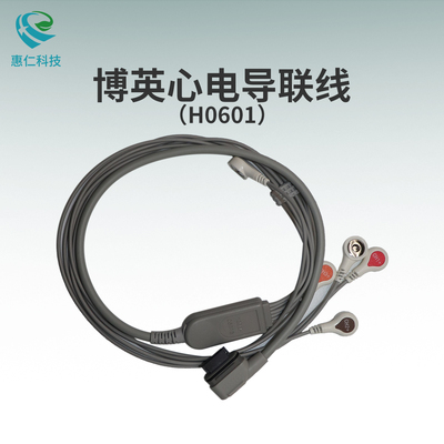 博英BI2100/BI2900/BI9100/BI9900動態(tài)心電圖工作站彎頭5導聯(lián)線H0601