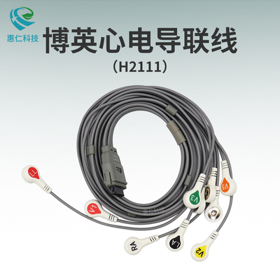 博英BI1812/BI6612/BI6812/BI9800動態(tài)心電圖工作站導聯(lián)線H2111