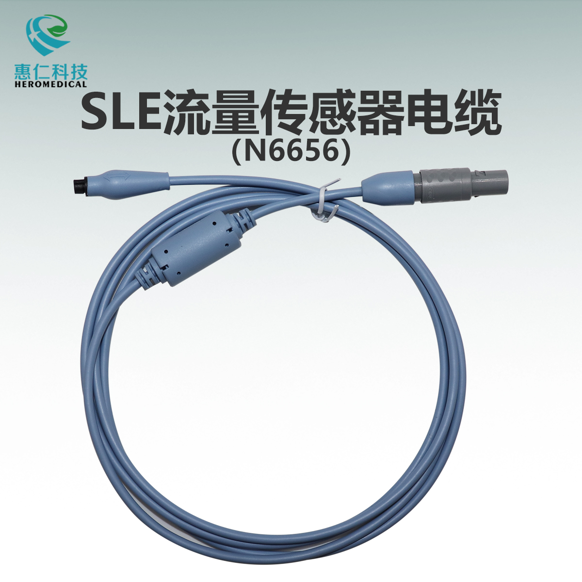 sle01.jpg